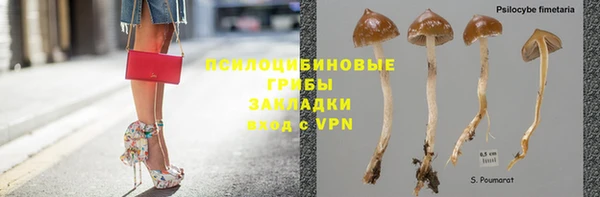 spice Баксан