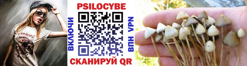 цена   ОМГ ОМГ   Псилоцибиновые грибы Magic Shrooms  Нерюнгри 